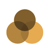 Gwinnett African American Caucus