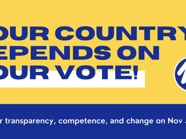 Help with the Election Process